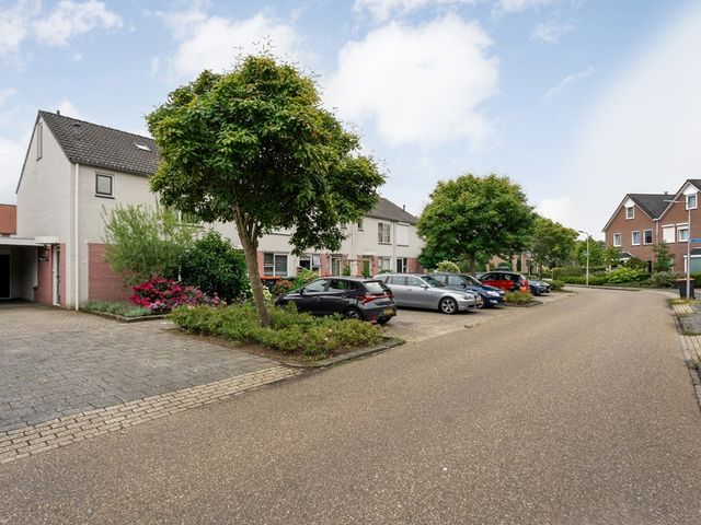 Boterbloem 132, Hardenberg