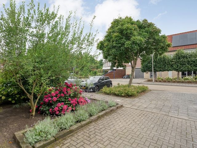 Boterbloem 132, Hardenberg