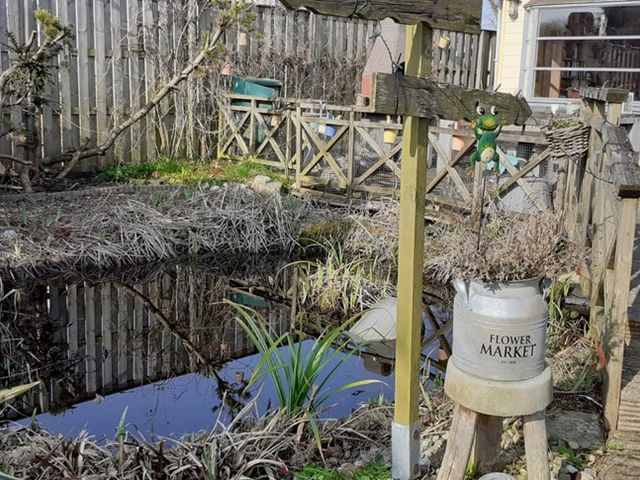 De Dreef 3c135, Opmeer