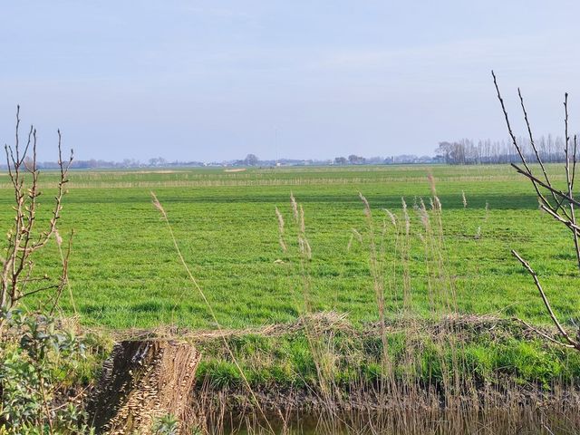 De Dreef 3c135, Opmeer