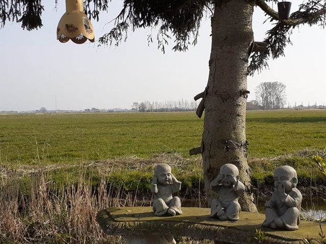 De Dreef 3c135, Opmeer