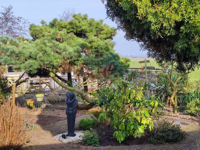 De Dreef 3c135, Opmeer