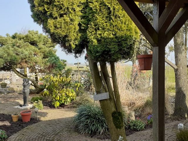 De Dreef 3c135, Opmeer