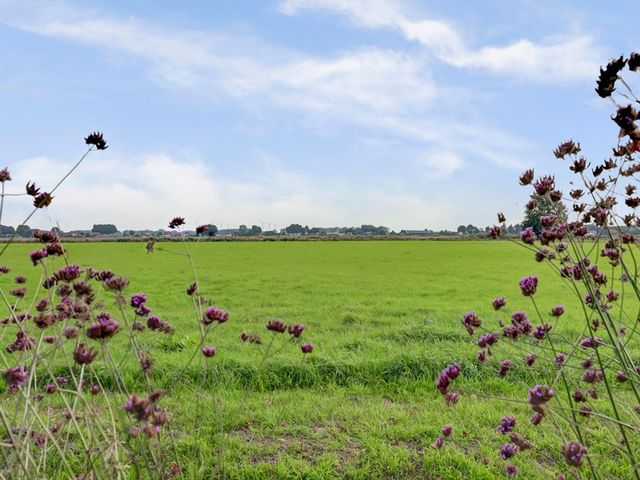 Mookhoek 44, Mookhoek