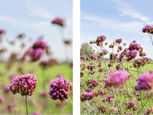 Mookhoek 44, Mookhoek