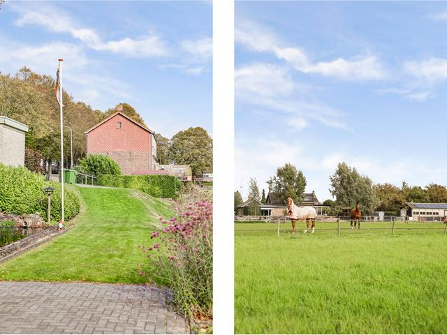 Mookhoek 44, Mookhoek