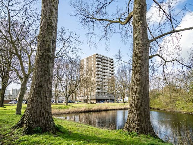 Graaf Janstraat 103, Zoetermeer