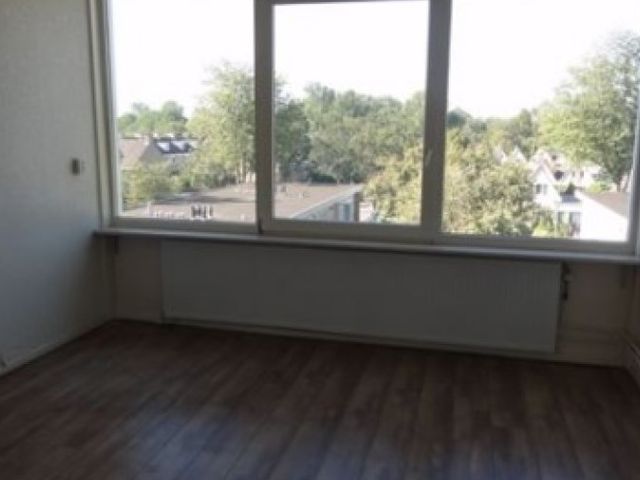 Asselijnstraat , Alkmaar