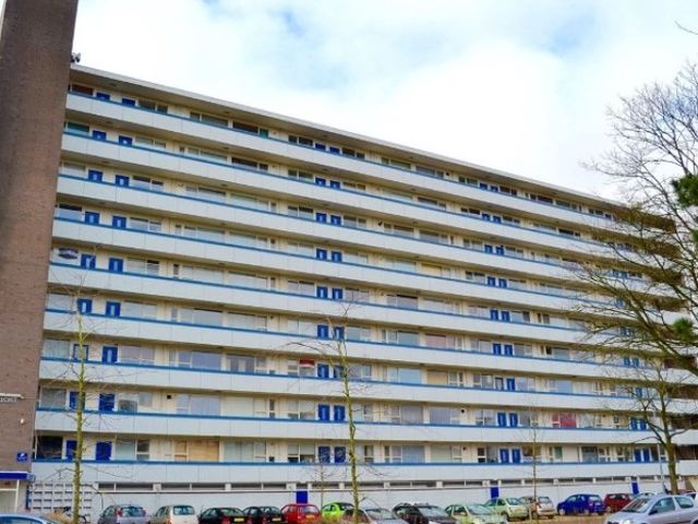 Honthorstlaan , Alkmaar