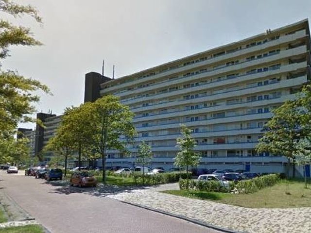 Honthorstlaan , Alkmaar