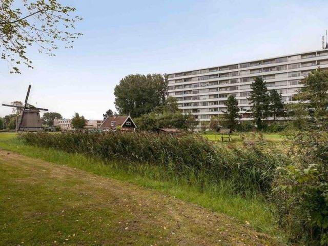 Honthorstlaan , Alkmaar