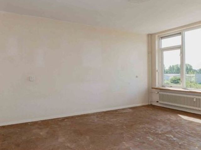 Cederstraat , Alphen aan den Rijn