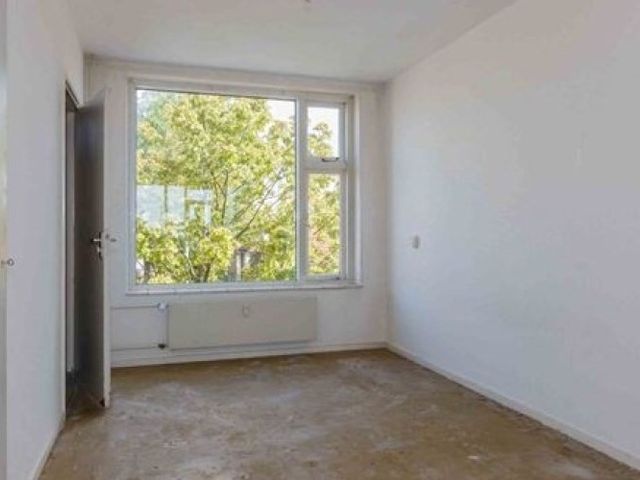 Cederstraat , Alphen aan den Rijn