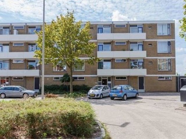 Cederstraat , Alphen aan den Rijn