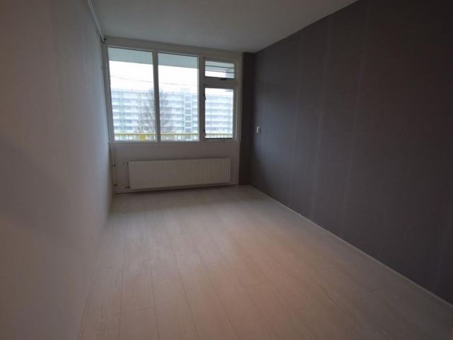 Hofgeest , Amsterdam