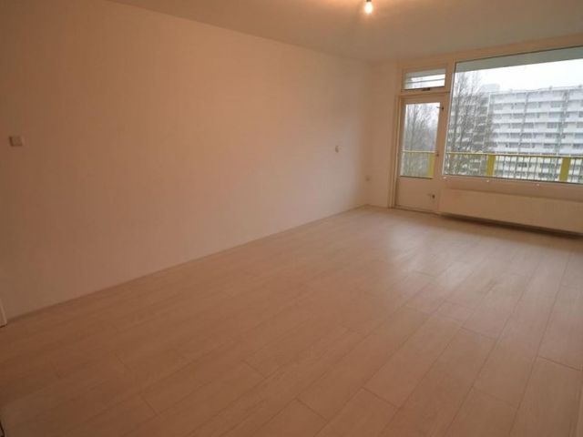 Hofgeest , Amsterdam