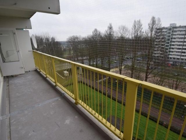 Hofgeest , Amsterdam