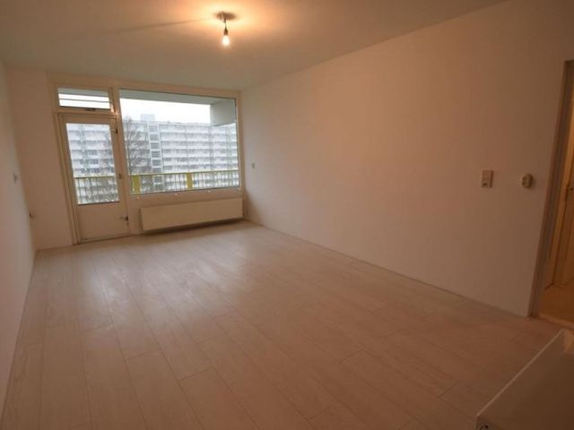 Hofgeest , Amsterdam