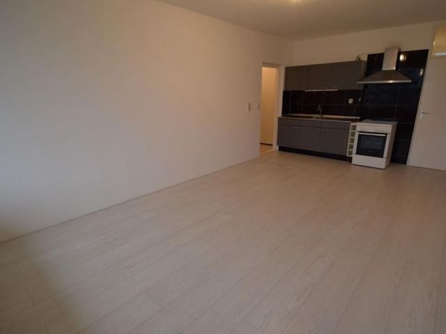 Hofgeest , Amsterdam