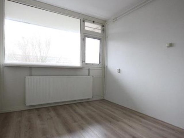 Bergmolen , Amsterdam