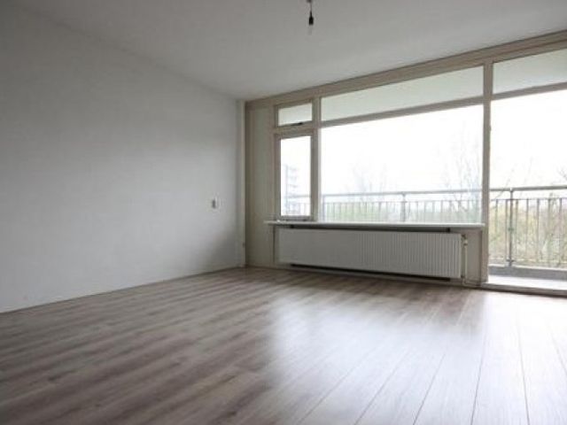 Bergmolen , Amsterdam