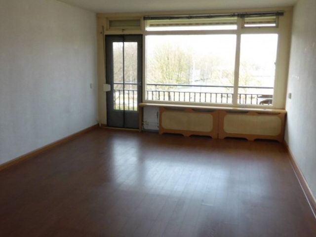 Orionsingel , Arnhem