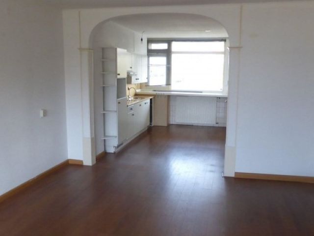 Orionsingel , Arnhem