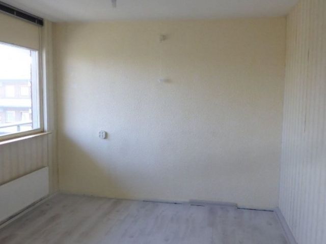 Orionsingel , Arnhem