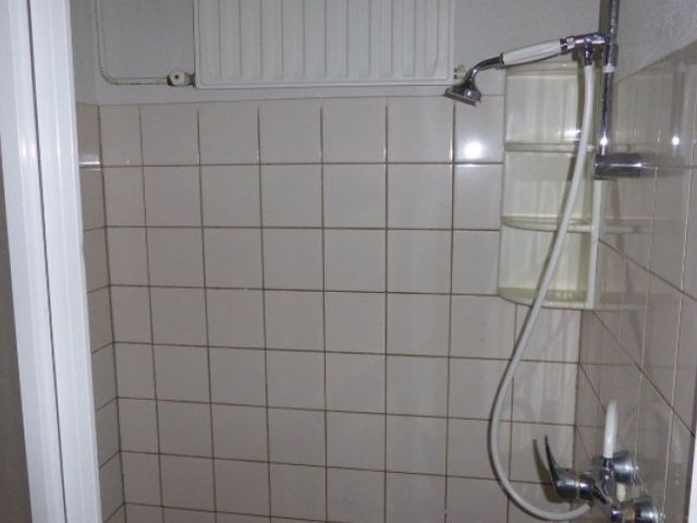 Orionsingel , Arnhem