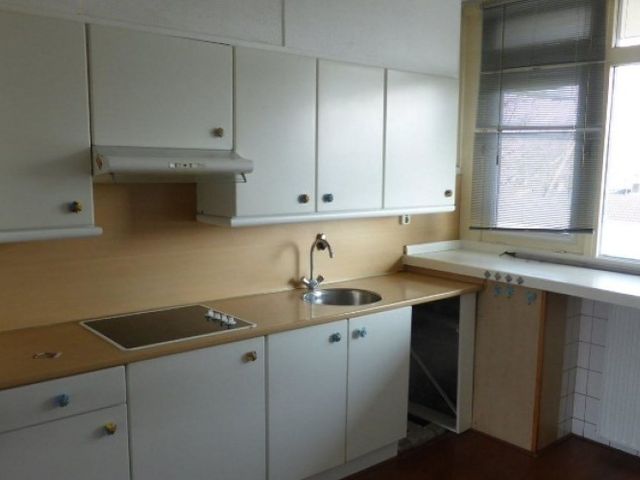 Orionsingel , Arnhem