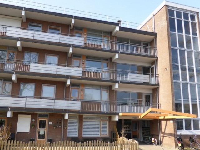 Orionsingel , Arnhem