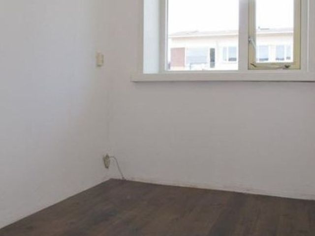 Van Lodensteynstraat , Delft