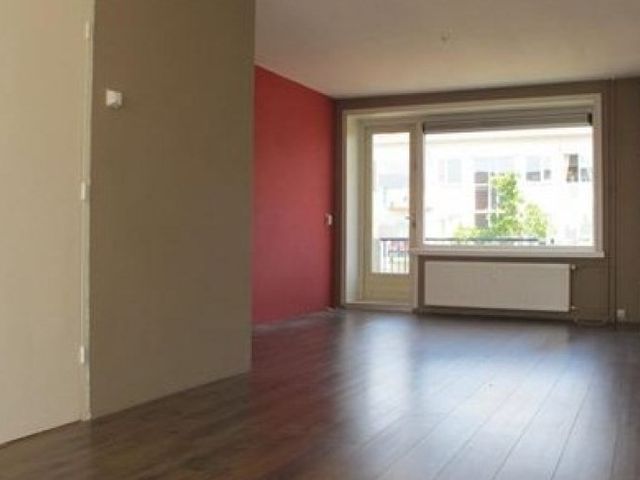 Van Lodensteynstraat , Delft