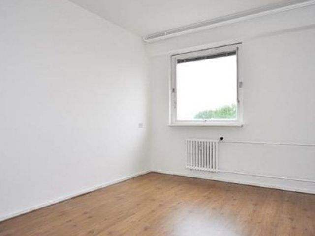 Dignaland , Den Haag