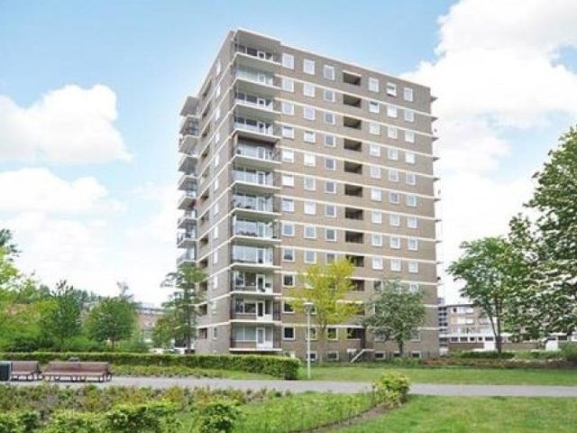 Dignaland , Den Haag