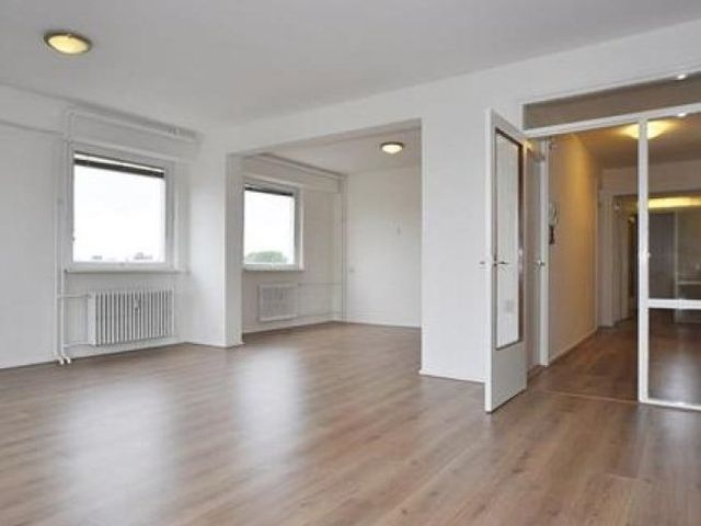 Dignaland , Den Haag