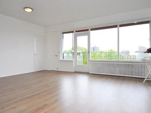 Dignaland , Den Haag