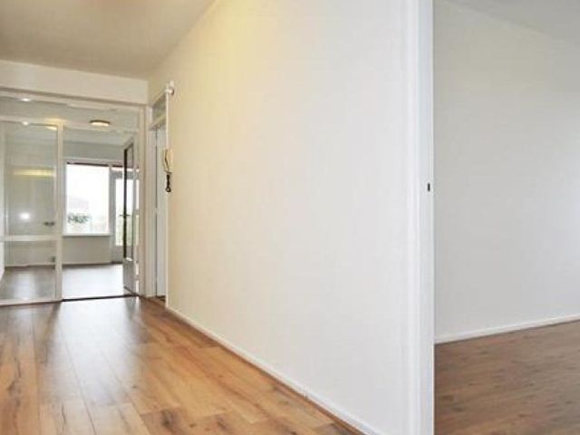 Dignaland , Den Haag