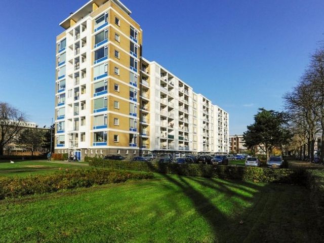 Segbroeklaan , 's-Gravenhage