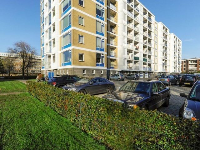 Segbroeklaan , 's-Gravenhage