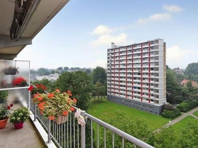 Elviraland , Den Haag