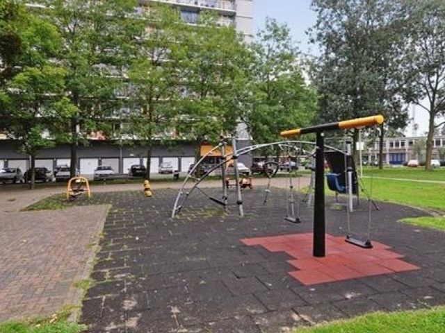 Elviraland , Den Haag