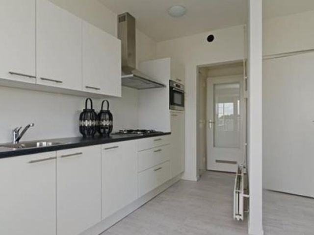 Elviraland , Den Haag