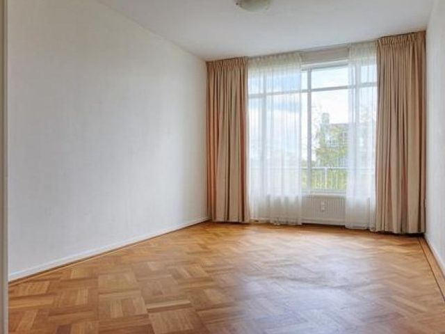 Van Alkemadelaan , 's-Gravenhage