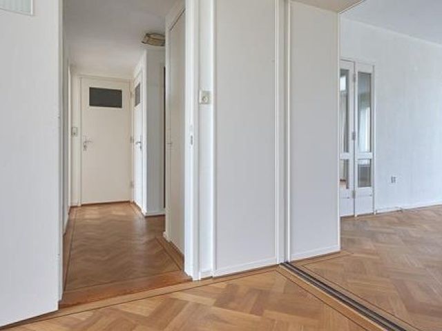 Van Alkemadelaan , 's-Gravenhage