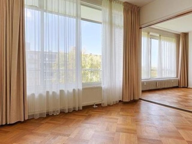 Van Alkemadelaan , 's-Gravenhage