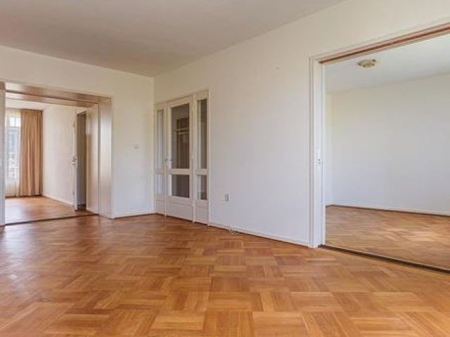 Van Alkemadelaan , 's-Gravenhage