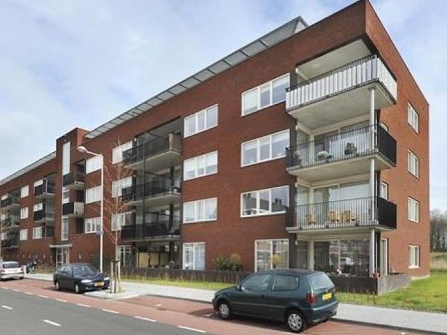 Bergermeerstraat , Den Haag