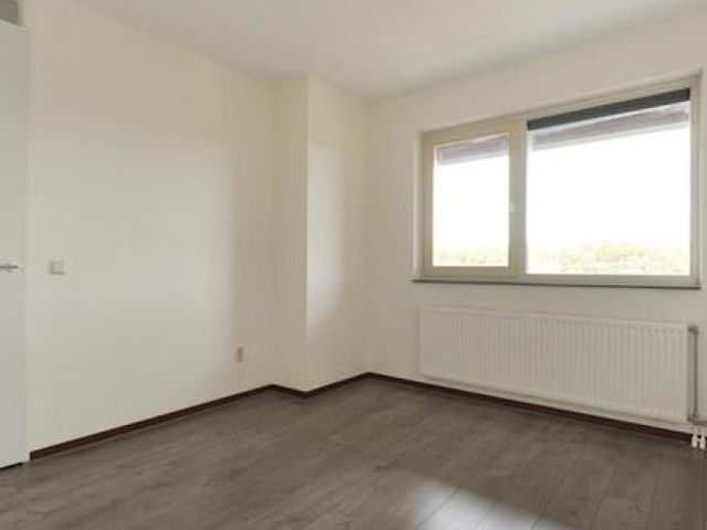 Bergermeerstraat , Den Haag