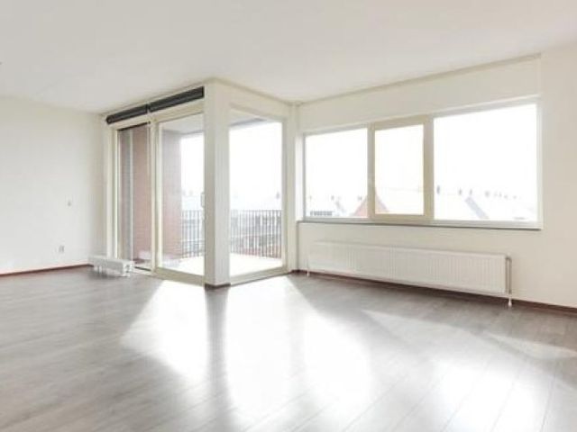 Bergermeerstraat , Den Haag